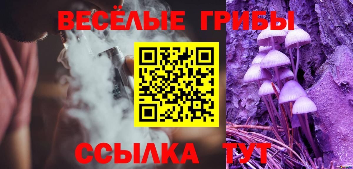 Галлюциногенные грибы Psilocybine cubensis Кызыл