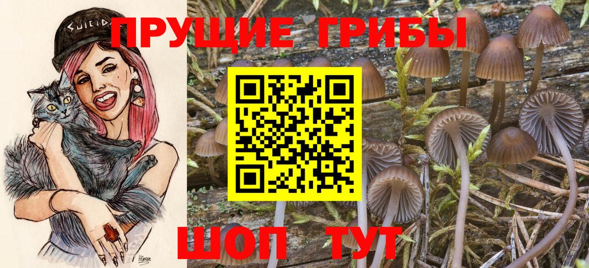 Кызыл  наркотики  Псилоцибиновые грибы Magic Shrooms  Вход с VPN  Галлюциногенные грибы MAGIC MUSHROOMS 